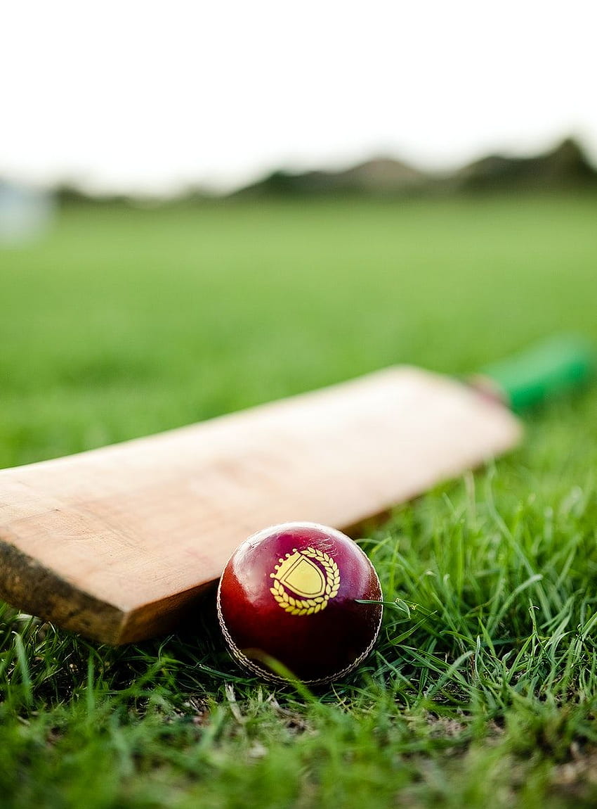 Premium of Cricket bat and ball on green grass 529011. クリケットバット, クリケット, クリケットボール HD電話の壁紙