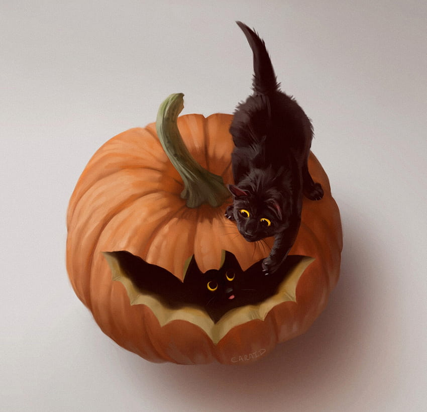 Halloween fun, kitten, black, ilse gort, art, cat, orange, halloween, fantasy, pisici, pumpkin HD wallpaper