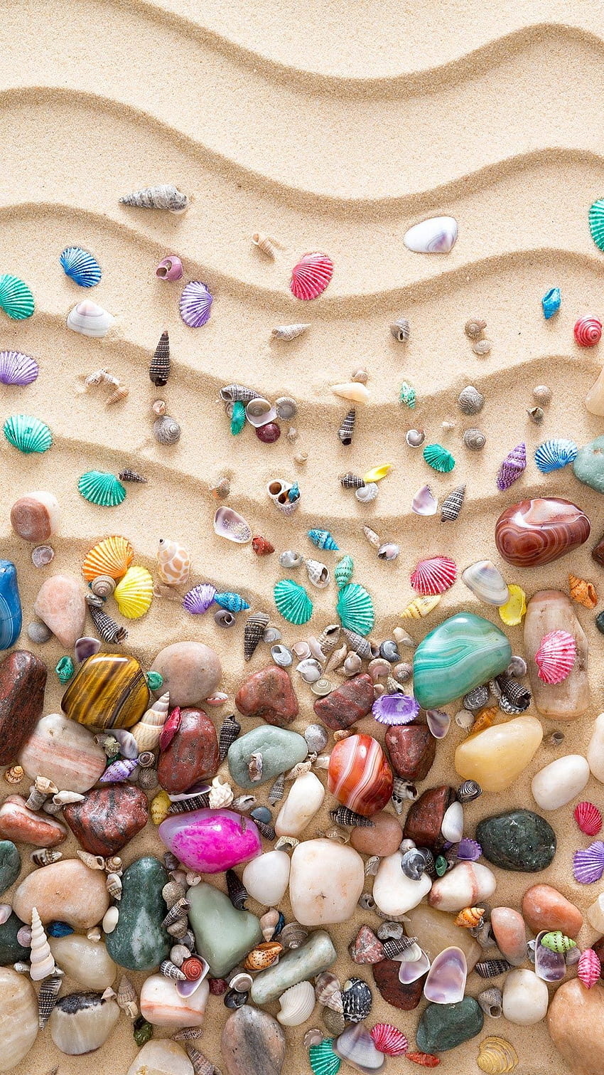 Aesthetic Colorful Seashell, Pink Seashell HD phone wallpaper