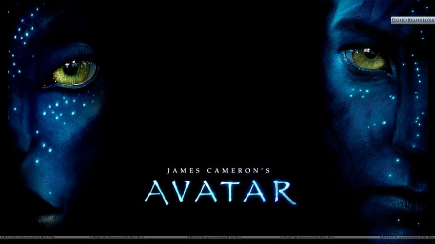 Avatar 2009 Original French Grande Movie Poster  Original Film Art   Vintage Movie Posters