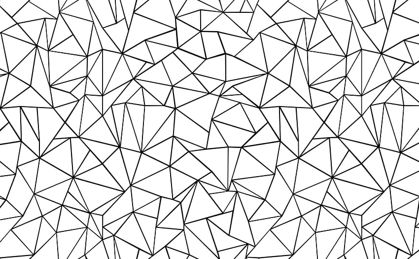 Stilvolle abstrakte Fractal-Muster. Ab-Konturen, elegantes Schwarzweiss HD-Hintergrundbild