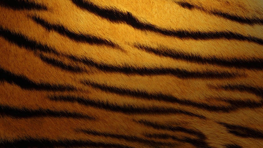 Тигрова кожа животински принт Високо качество HD тапет