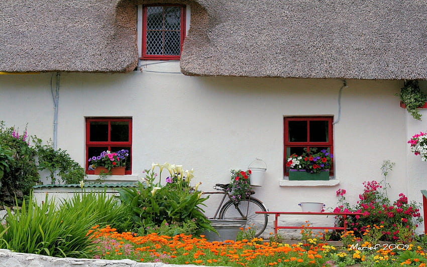 Cottage garden, garden, cottage, bicycle HD wallpaper