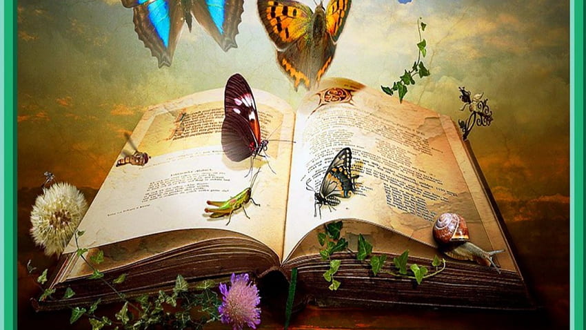 BOOK OF INSTECTS, BOOK, BUTTERFLIES, INSECTS, BIG, PAGES, BUGS HD wallpaper