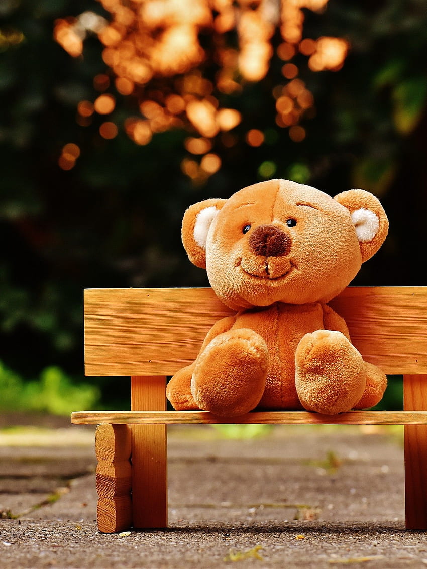 Teddy bear , Park bench, Soft toy, Wooden bench, Evening, , Cute, Baby Toys HD phone wallpaper