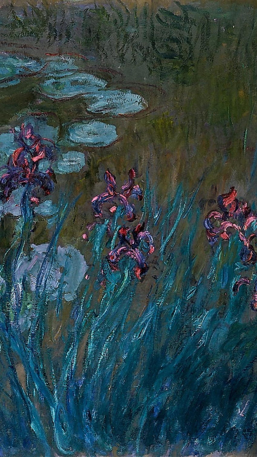 Ninfee giverny claude monet iris impressionismo, Monet Water Lilies Sfondo del telefono HD