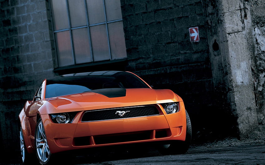 Auto, Ford, Mustang, Cars, Front View HD wallpaper