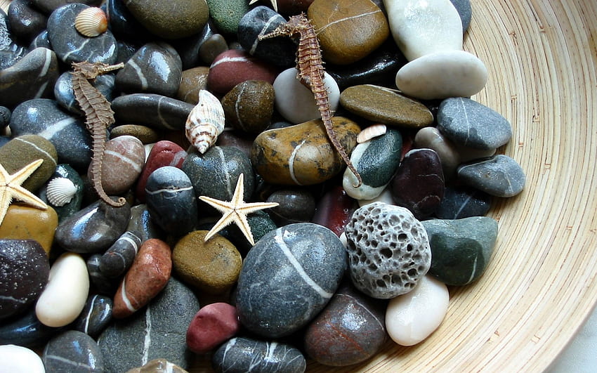 Seixos, pedras do mar, estrelas do mar, pedras papel de parede HD