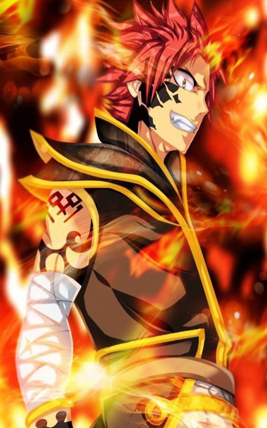 Anime Natsu 4K Wallpapers - Fairy tail APK for Android Download