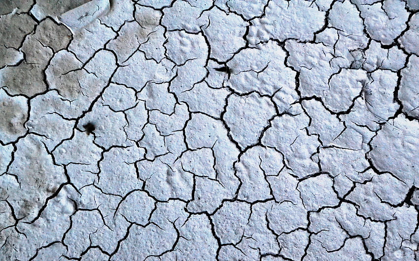 dried ground texture, , ground with cracks, natural textures, desert, drought concepts, cracked ground, ecology, dried ground HD wallpaper