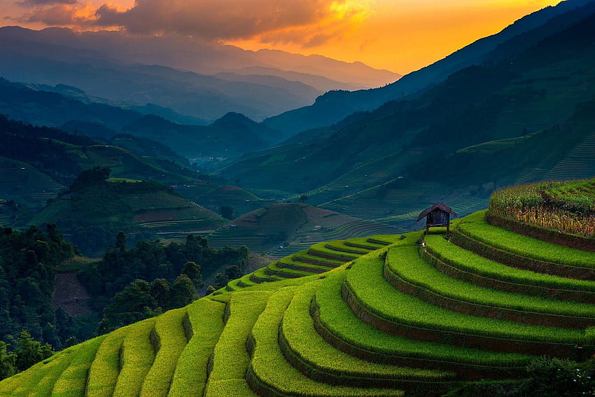 paisagem, natureza, arrozal, terraços, montanha, pôr do sol, campo, paisagem do Vietnã papel de parede HD