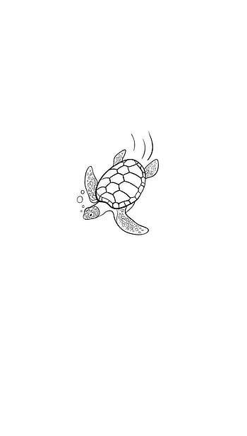 Turtle tattoo HD wallpapers | Pxfuel