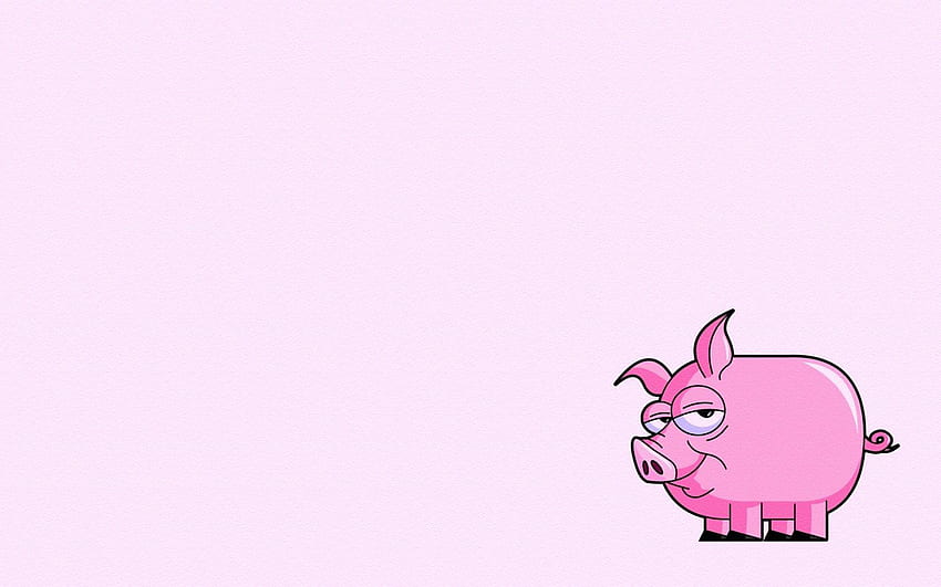 Pig, Pig Face HD wallpaper