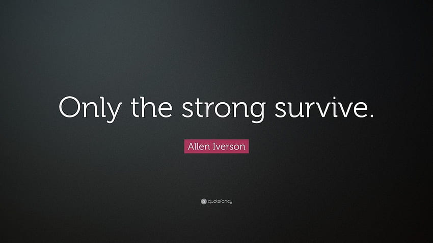 Only the Strong Survive HD wallpaper