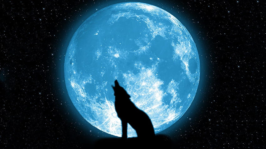 Wolf Howling At The Moon background, New Moon Wallpaper HD