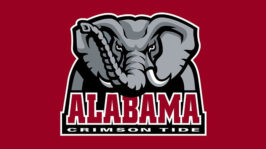 Beautiful Crimson Tide Football High Definition, Alabama Football HD wallpaper