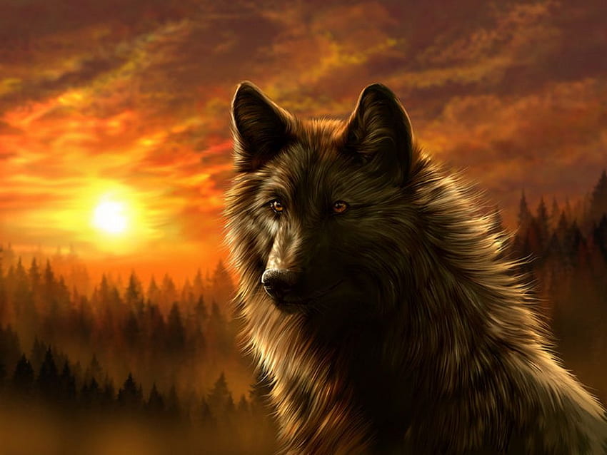 Animated Wolf, Autumn Wolf HD wallpaper | Pxfuel