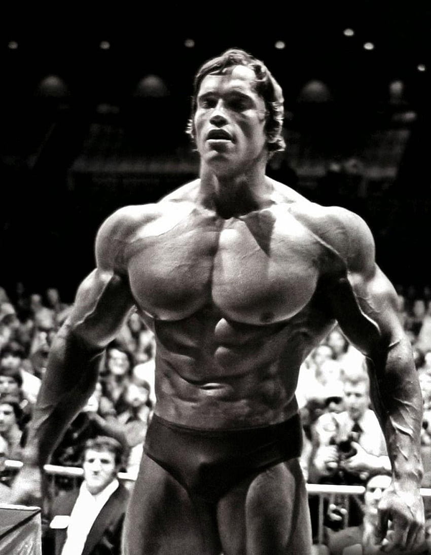 Arnold Schwarzenegger Telefon, Arnold Schwarzenegger Bodybuilding HD-Handy-Hintergrundbild