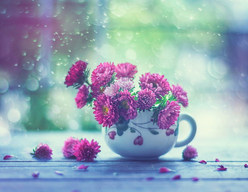 Flowers in a cup, blue, pink, flower, green, cup, little HD wallpaper