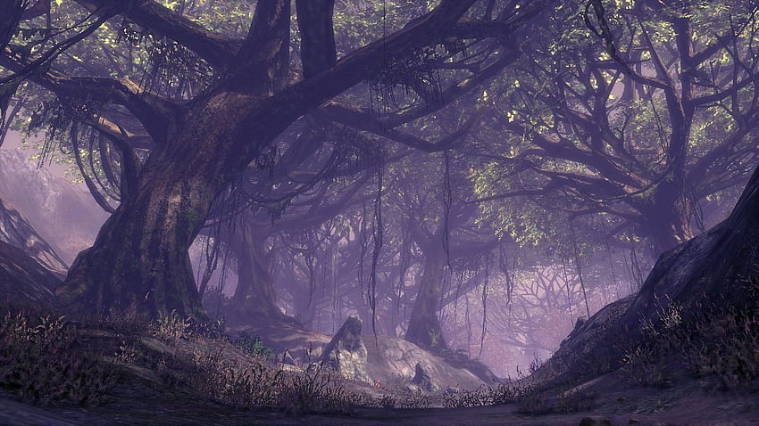 Mystical forest mystic HD wallpaper