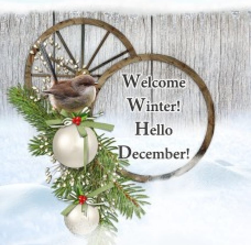 *Welcome Winter*Hello December*, winter, bird, balls, welcome, season, wooden fence, sparrow, snow, christmas, december, hello HD wallpaper