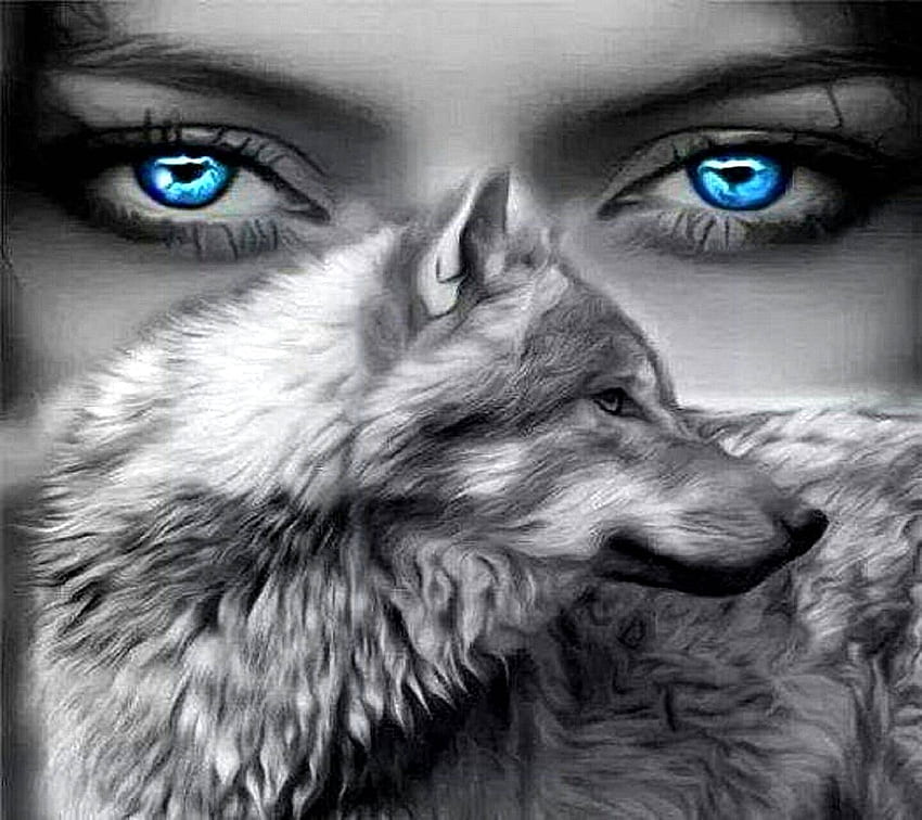 blue eyes---, Blue Wolf Eyes HD wallpaper