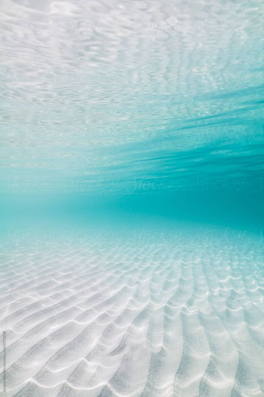 Przezroczysta tropikalna woda płytkiej wody, Ocean Floor iPhone Tapeta na telefon HD