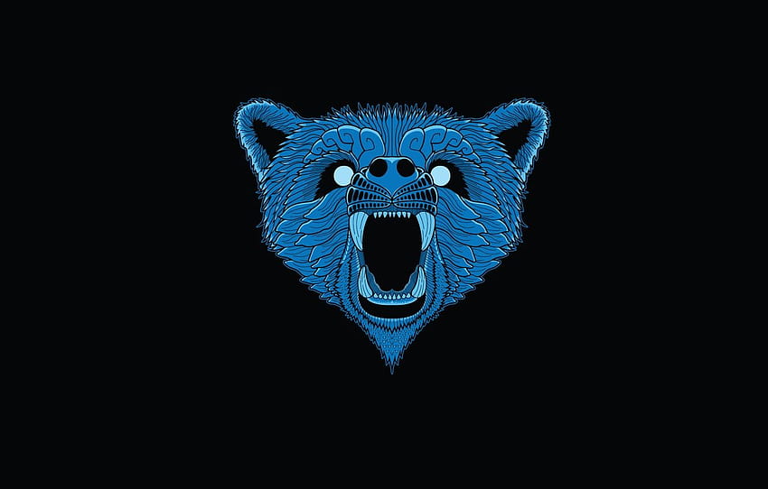 face, blue, minimalism, head, bear, black background, Minimalist Bear HD wallpaper