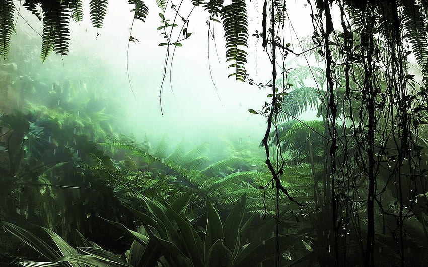 Jungle Plants พีซีและแมค วอลล์เปเปอร์ HD
