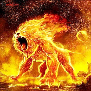 Lion Fire Wallpapers  Wallpaper Cave