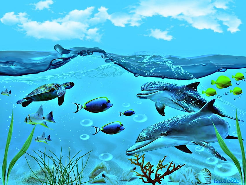 海の生物, サンゴ, 水, 海の生物, ファンタジー, 海, イルカ, 青い, 雲, 魚, 空 高画質の壁紙