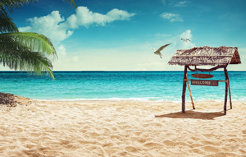 sand, sea, beach, nature, the ocean, summer, beach, sea, sunset, island, Maldives, crystal, sand beach, tropical, Tropical for , section природа, Welcome Summer HD wallpaper