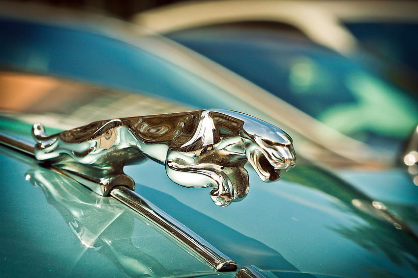 auto, automotive, classic, dream car, elegant, Old Jaguar HD wallpaper