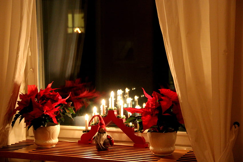 クリスマスキャンドル、クリスマス、家、ろうそく、花、カーテン、アレンジメント 高画質の壁紙