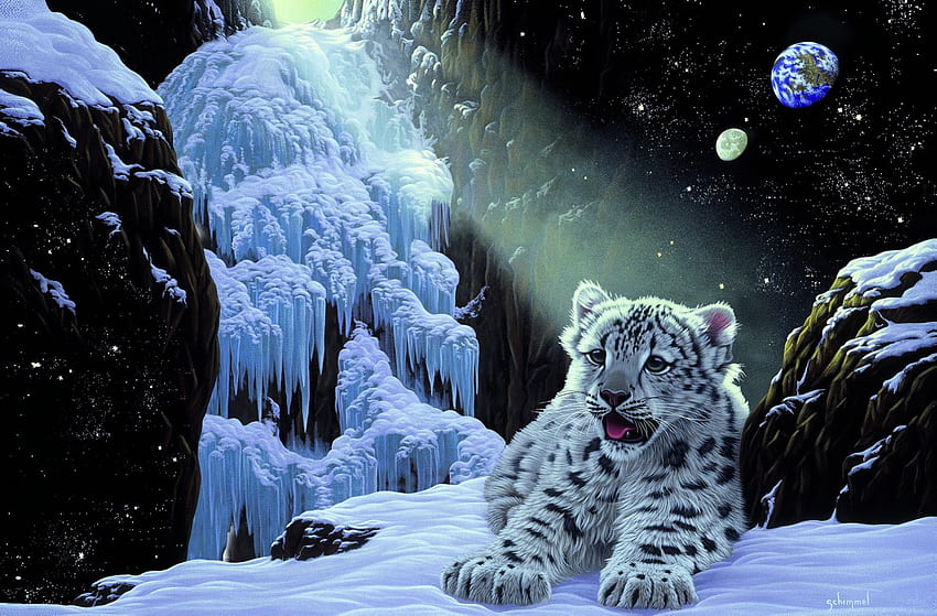 บ้านน้ำแข็ง กลางคืน ดวงดาว ป่า พระจันทร์ หิมะ น้ำค้างแข็ง หิมะตก เยือกแข็ง ศิลปะ บ้าน แมว สวย หิน ภูเขา แฟนตาซี น้ำแข็ง ท้องฟ้า น้ำแข็ง บ้าน วอลล์เปเปอร์ HD