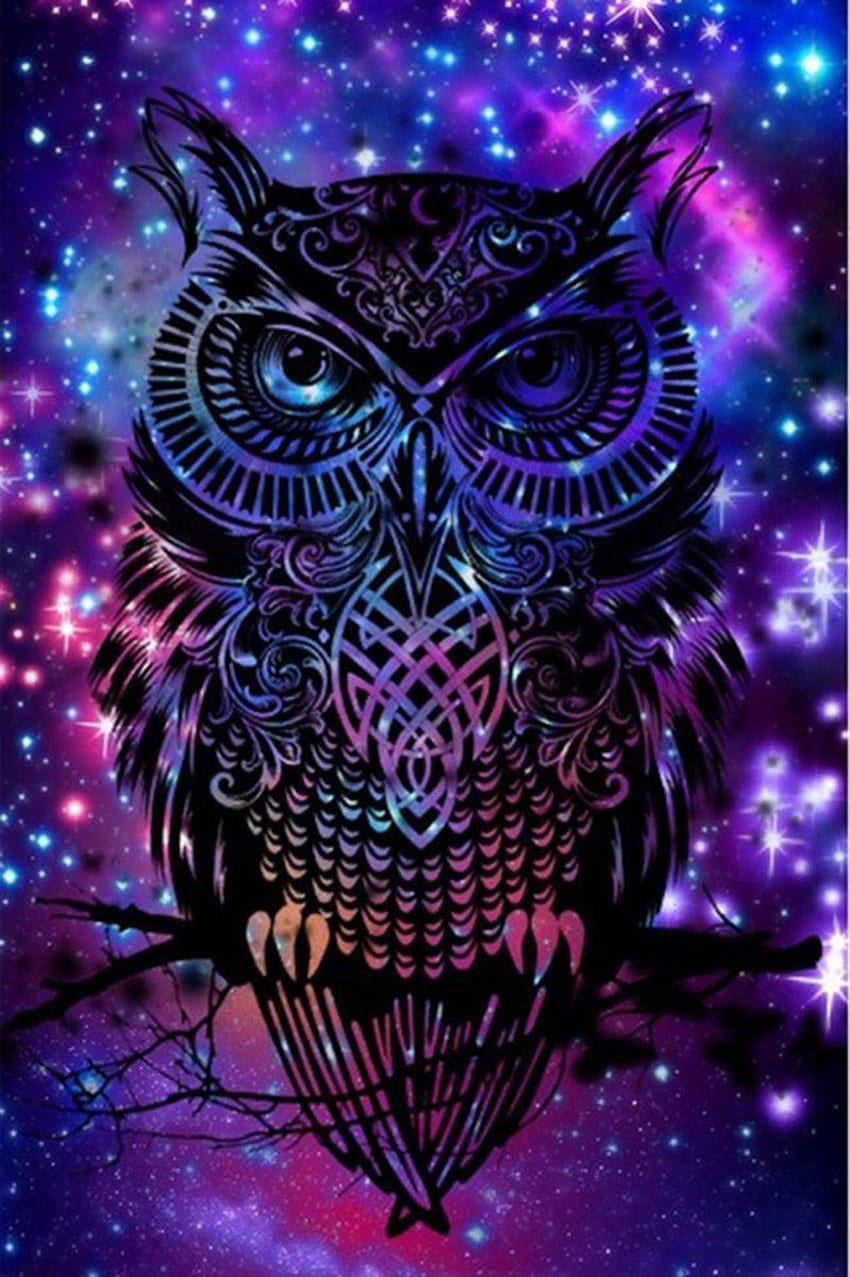 5D Diamond Painting Starry Bird Owl Paint con diamantes Art Crystal Craft Decor en 2020. Dreamcatcher, Owl, Galaxy fondo de pantalla del teléfono