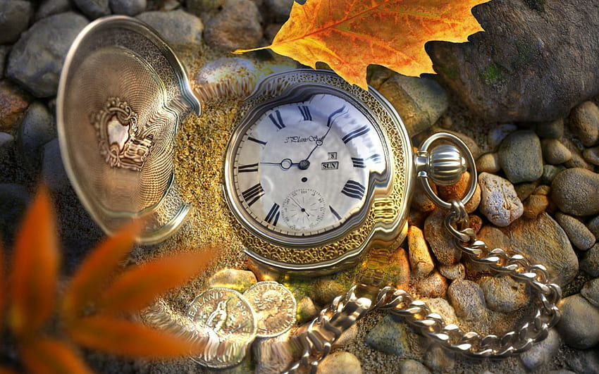 Време, камък, листо, часовник HD тапет