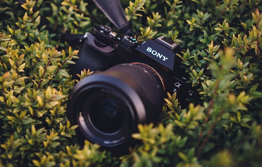 Macro, Background, Camera, Sony A7 For , Section Hi Tech HD wallpaper