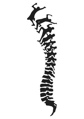 An Image Showing A Skeletal Spine And Man S Spine Background, Picture Of A  Shoulder Blade, Blade, Shoulder Background Image And Wallpaper for Free  Download