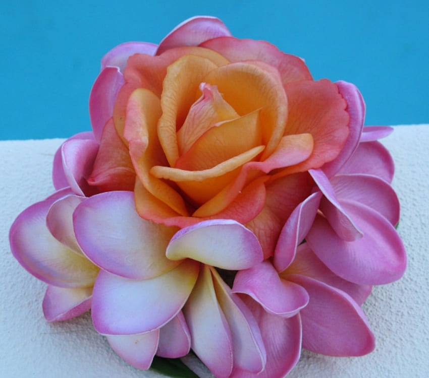 Bouquet Bunga Pernikahan Plumerias, plumeria, buket, pernikahan, mawar, alam, bunga Wallpaper HD
