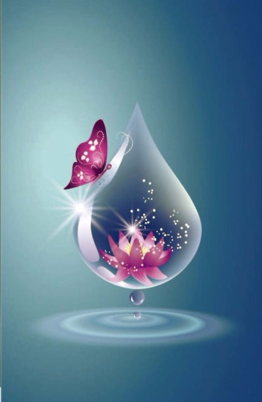 teardrop lotus flower. Flower , Pretty , Butterfly HD phone wallpaper