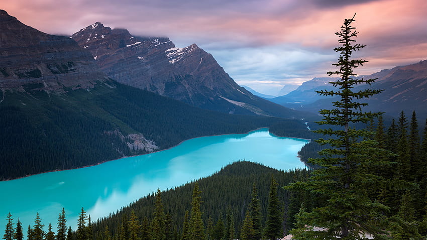 Canada & Background, Canada HD wallpaper | Pxfuel