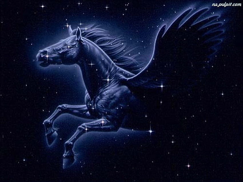 Pegasus, azul, estrelas, fantasia papel de parede HD