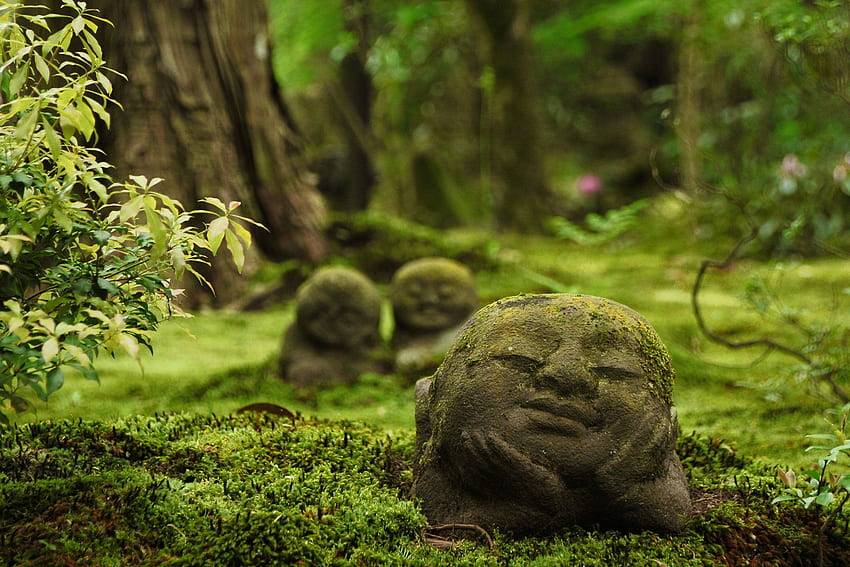 Sanzen en el templo Ohara Kyoto Japón Japón Templo Escultura Religión, bosque japonés fondo de pantalla