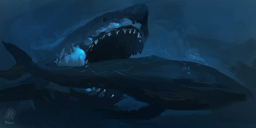 Sharks Underwater Ancient animals Megalodon Animals HD wallpaper