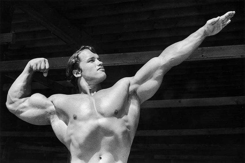 Jeune Arnold Schwarzenegger - Meilleur Arnold, musculation à l'ancienne Fond d'écran HD