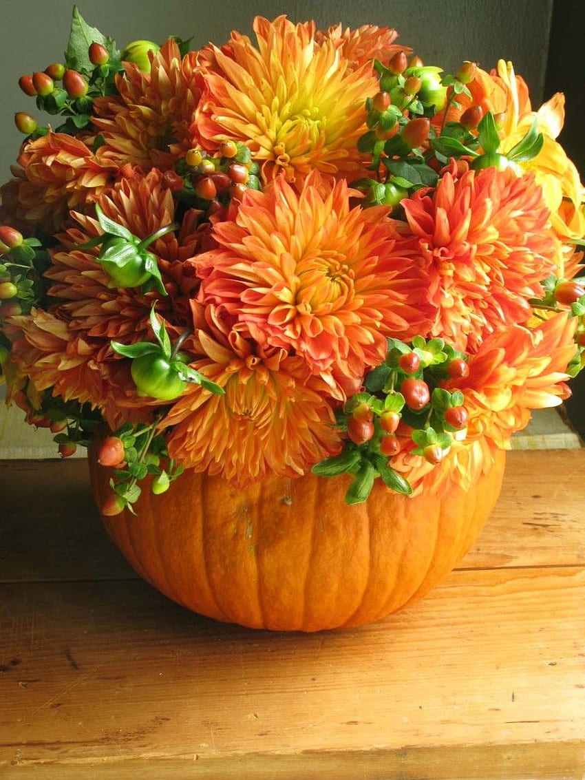 Fall Flowers And Pumpkins, Pretty Fall Flowers Pumpkin HD phone ...