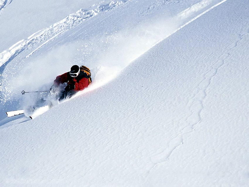Skier in Powder and Background (1024 x 768), Powder Skiing HD wallpaper