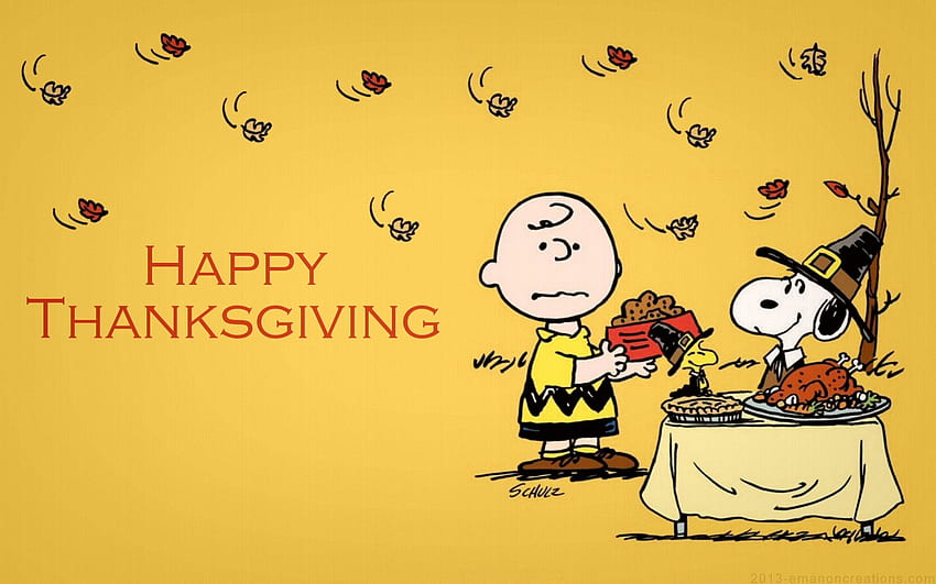 Thanksgiving Background, Funny Thanksgiving HD wallpaper