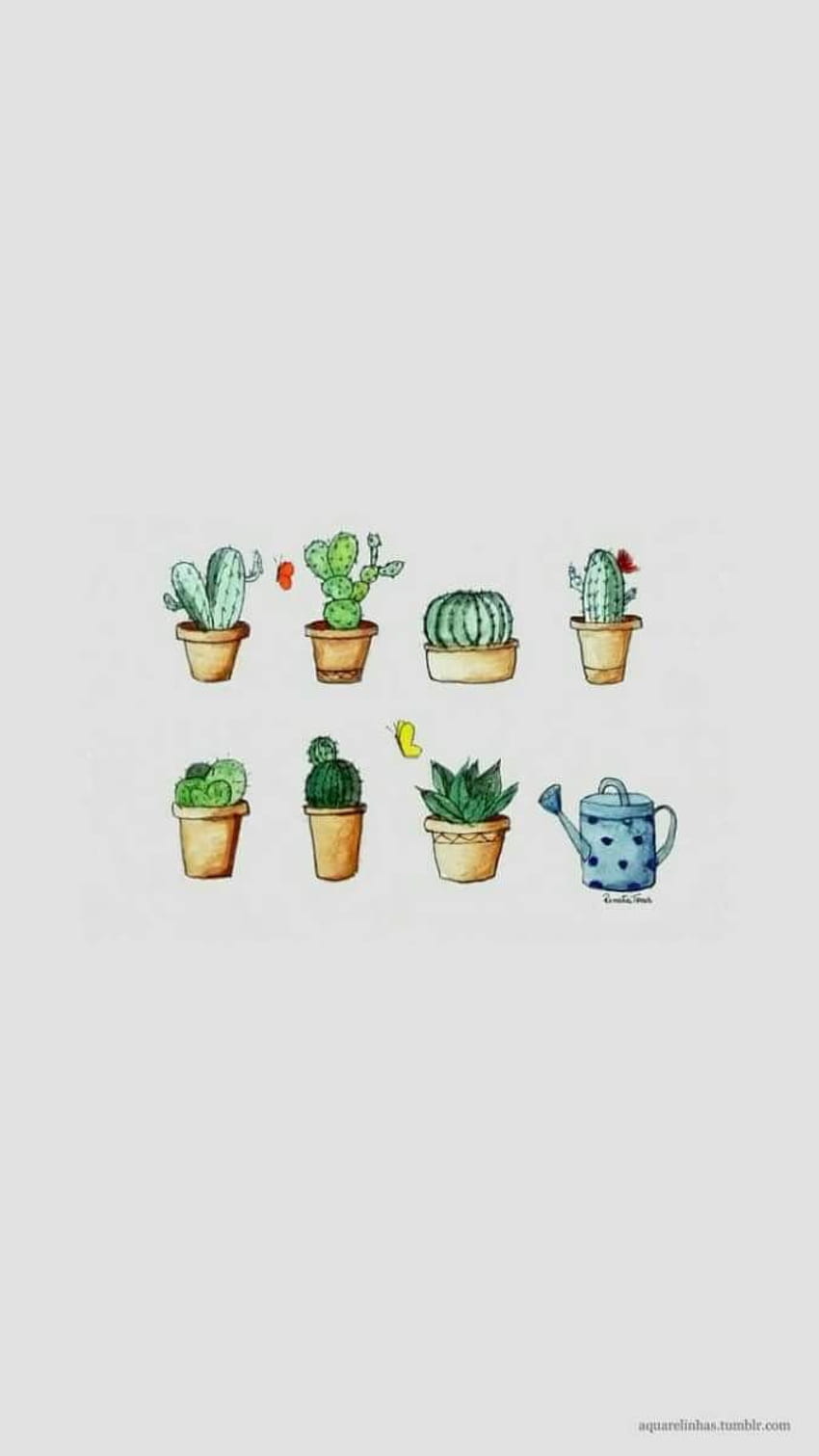 Cactus Lockscreens ideas. cactus, cute , iphone, Cool Cactus HD phone wallpaper